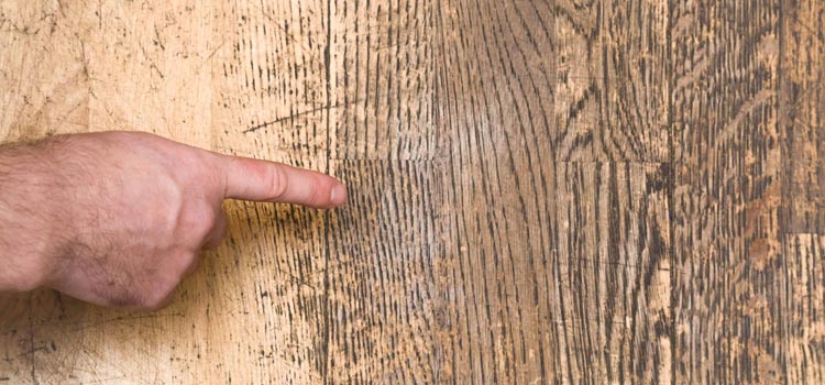 Wood Door Scratch Repair in Antelope